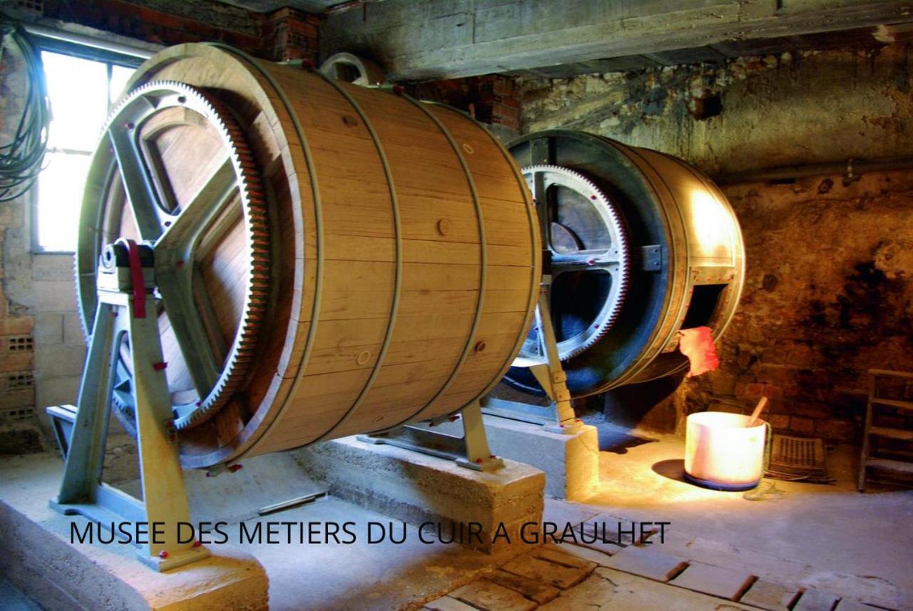 Loft Cosy - Hypercentre - Sauna - 200M2 - Wifi Graulhet Bagian luar foto